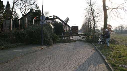 Bomen rooien Klimmen